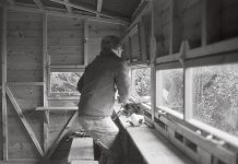 2023-09-30-0013 copy tp.jpg 2023-09-30-0013 copy tp.jpg