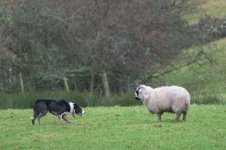 _7822333.jpg _7822333.jpg