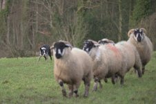 _7822423.jpg _7822423.jpg