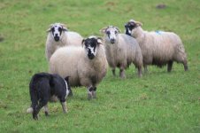 _7822329.jpg _7822329.jpg