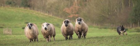 _7822426.jpg _7822426.jpg