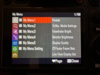 IMG_6919.JPG IMG_6919.JPG