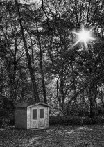 evening light.jpeg evening light.jpeg