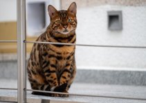 DSC_4283.jpg DSC_4283.jpg