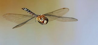 PSX_20231231_115312.jpg PSX_20231231_115312.jpg