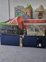 20240101_112620.jpg 20240101_112620.jpg