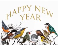 1000020040.jpg 1000020040.jpg