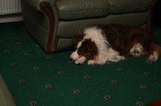 MPT_2115.JPG MPT_2115.JPG