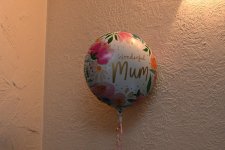 MPT_2138.JPG MPT_2138.JPG