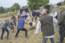 _7829600.jpg _7829600.jpg