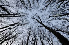 DSC_6934.jpg DSC_6934.jpg