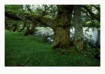 image00559.jpg image00559.jpg