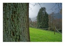 _IMG0230a.jpg _IMG0230a.jpg