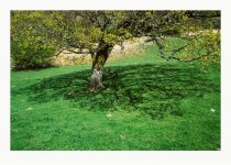 image00358.jpg image00358.jpg