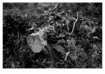 image00051.jpg image00051.jpg