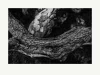 image00144.jpg image00144.jpg