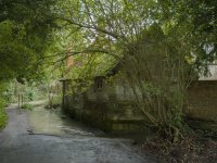 Close to Home sm.jpg