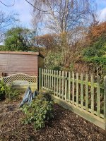 1000004777.jpg 1000004777.jpg