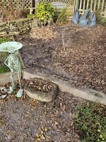 1000004778.jpg 1000004778.jpg