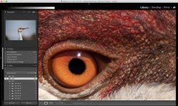 resolutionSm.jpg resolutionSm.jpg