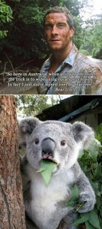 12474065_961166453965343_3046205558847790159_o.jpg 12474065_961166453965343_3046205558847790159_o.jpg