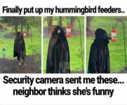 IMG_4279.jpeg IMG_4279.jpeg