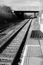 WLC47766lines.jpg WLC47766lines.jpg