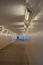 leading lines.jpg leading lines.jpg