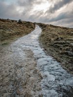 029 Icy Track 01-7846 PS Adj.JPG