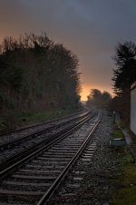 IMG_1416T - Copyx750.jpeg IMG_1416T - Copyx750.jpeg