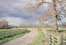 Ralf Vista200RAW01_g2p0001.jpg