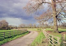 Ralf Vista200TIF01_g2p0001.jpg