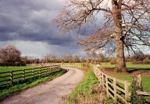 Rom C1Pro Ektar 1.jpg