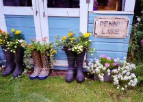 Rom C1Pro Ektar 2.jpeg