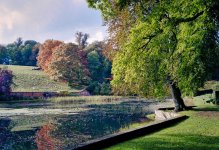 Rom C1Pro Ektar 3.jpg