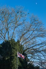 001 Rooks and the Moon 75mm 01-1001126 PS Adj upload.JPG