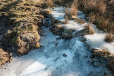 005 Frozen Bridleway 02-7866 PS Adj.JPG