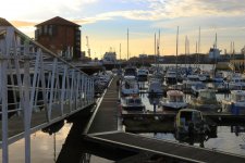 IMG_2184rs.jpg IMG_2184rs.jpg