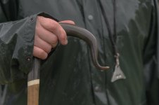 _7816805.jpg _7816805.jpg