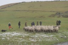 _7816789.jpg _7816789.jpg