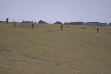 _7822680.jpg _7822680.jpg