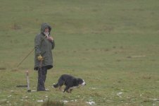 _7822633.jpg _7822633.jpg