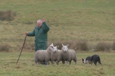 _7822761.jpg _7822761.jpg