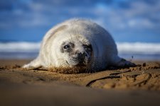 P1044907 (1).jpg P1044907 (1).jpg