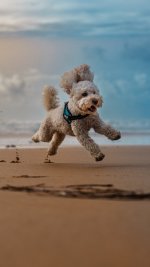 P1044579 (3).jpg P1044579 (3).jpg