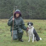 _7816809.jpg _7816809.jpg