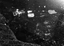 Pond Ice 03.jpg