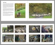 2024-01-27_192753.jpg 2024-01-27_192753.jpg