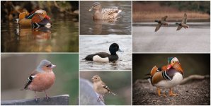 2024-01-28_0001.jpg 2024-01-28_0001.jpg