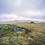 019 Brandscombe's Loaf (Bronica) 02-000002 PS Adj.JPG